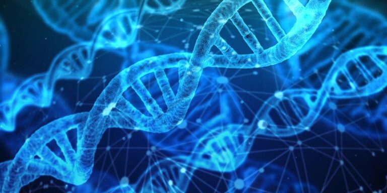 dna-pixabay.jpg