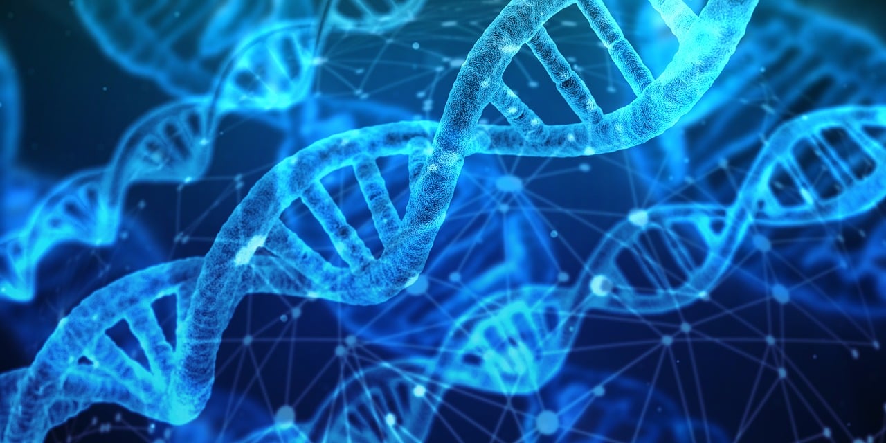 dna-pixabay.jpg