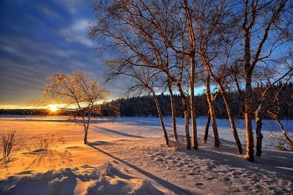winter-solstice-sunshine.jpg