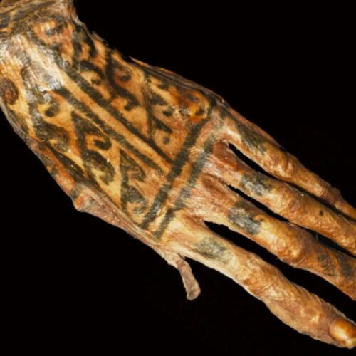 mummy1-500x500.jpg