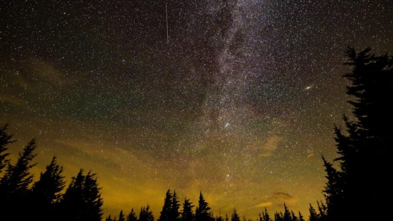 perseid.jpg