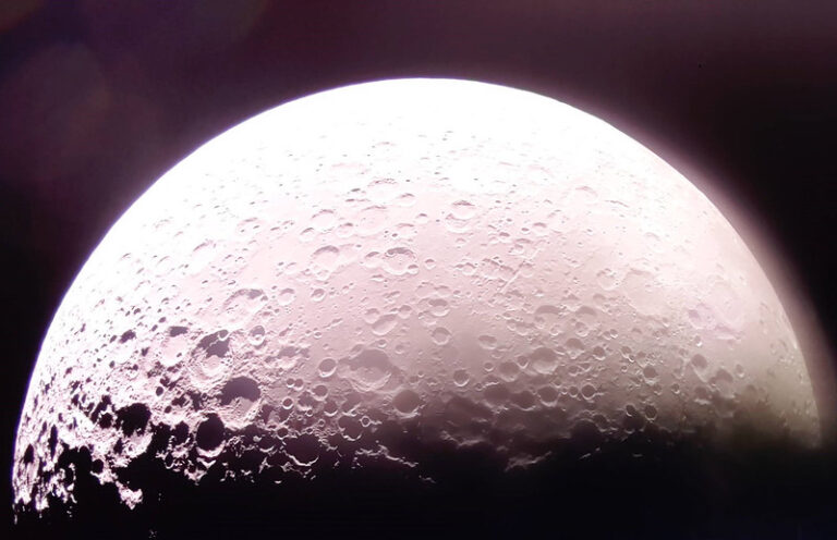 54327534948_d6fa6516c9_c.jpg