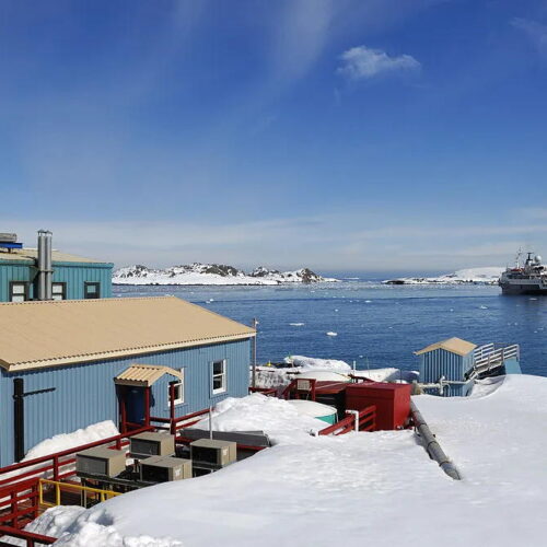 antarctic-500x500.jpg