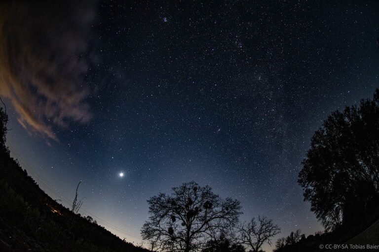 venus-stars.jpg