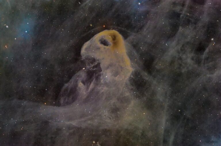 Baby-Eagle.jpg