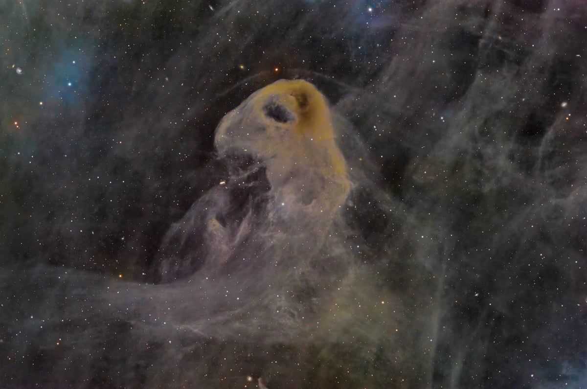 Baby-Eagle.jpg