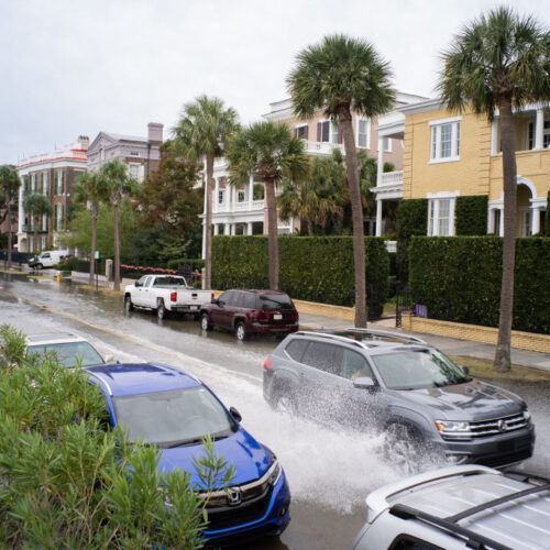 charleston-500x500.jpg