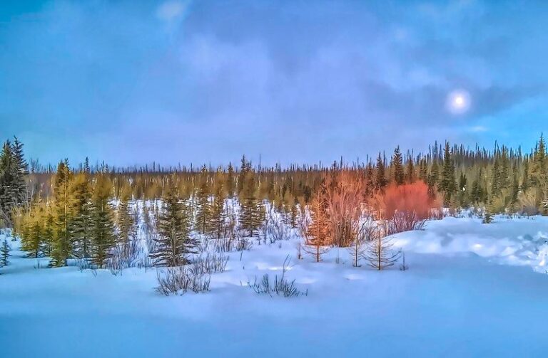 vernal-equinox-alaska.jpg