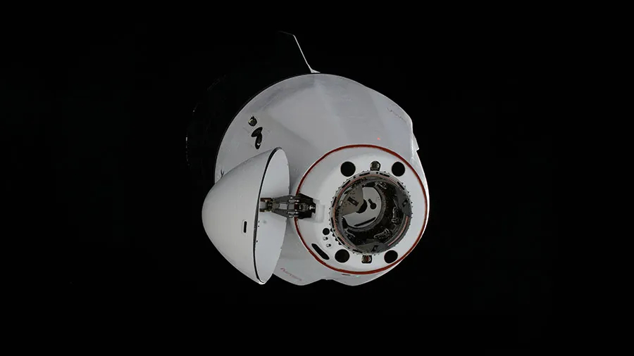 9KV2j2WRVcLxXKgT7qhRwn.jpg