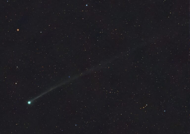 CometSwan25F-040825_Schur-scaled.jpg
