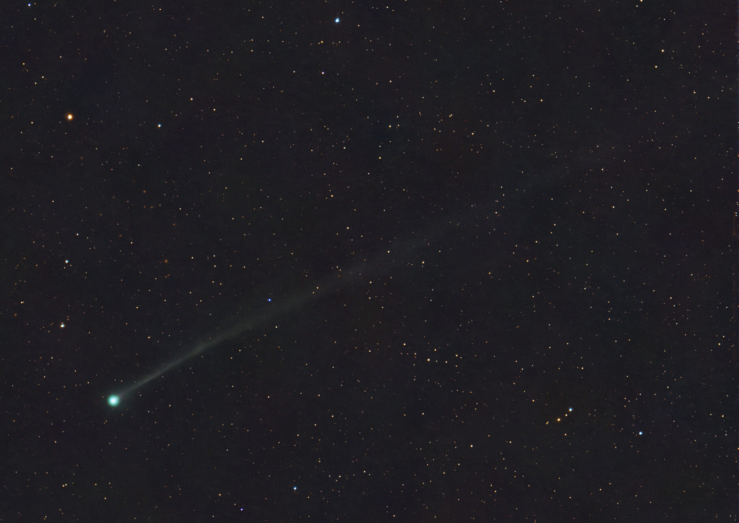 CometSwan25F-040825_Schur-scaled.jpg