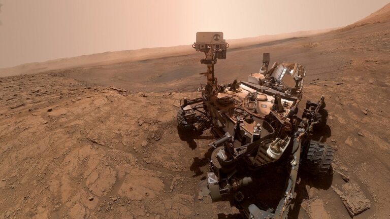 Curiosity-selfie.jpg