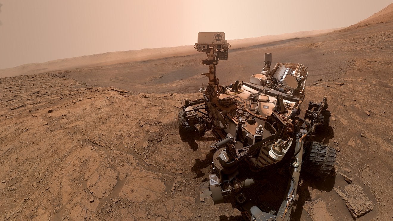 Curiosity-selfie.jpg