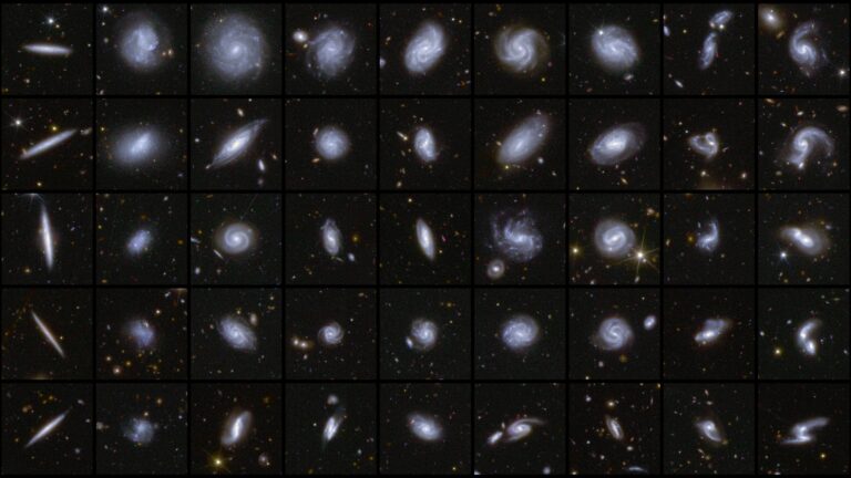 Galaxies_in_different_shapes_captured_by_Euclid-scaled.jpg