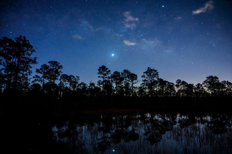 Venus-Pond.jpg