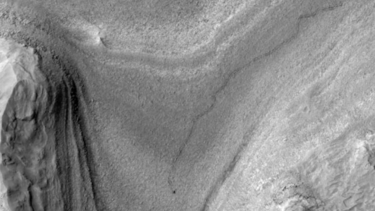curiosity-rover.jpeg