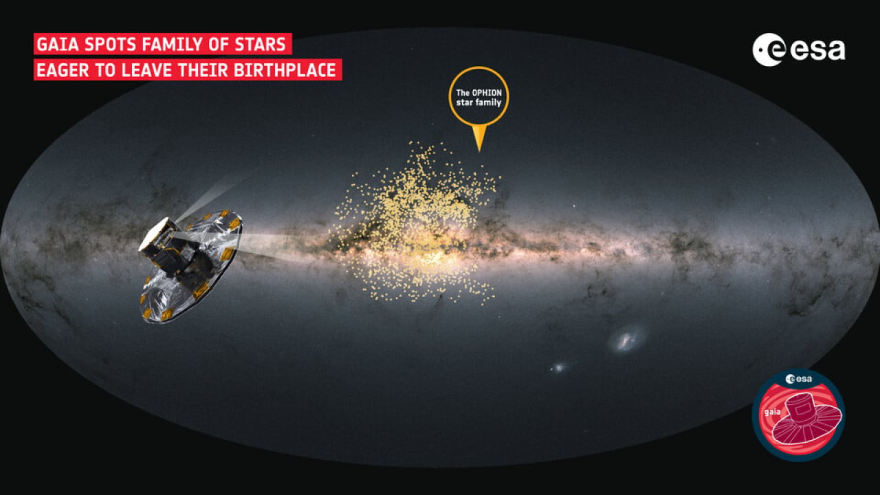 gaia_spots_odd_star_family_article.jpg
