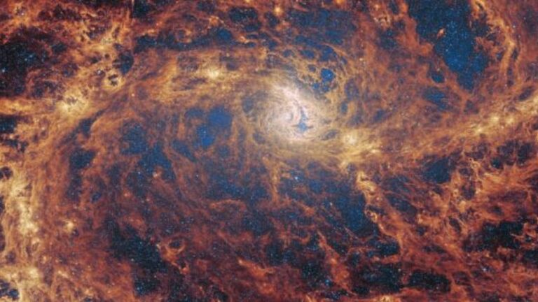 jwst-m83-potm.jpg