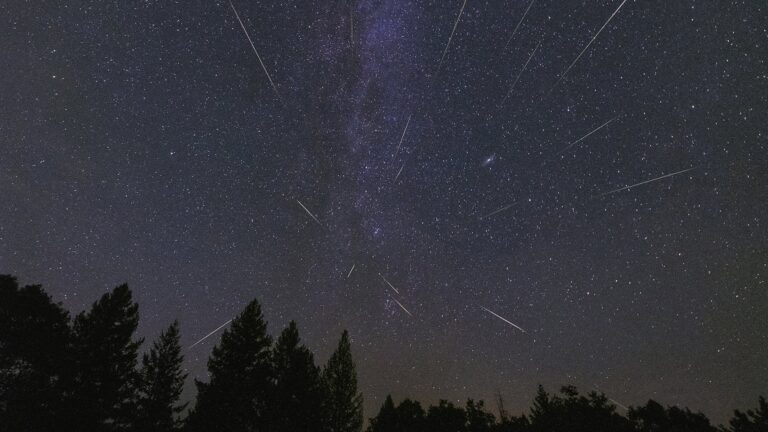 meteor-shower-Tony-Hallas.jpg