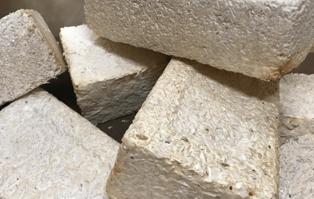 Bricks of a material potentially suitable for off-world habitats that was produced using mycelium, yard waste and wood chips as a part of NASA's myco-architecture project. Credit: NASA