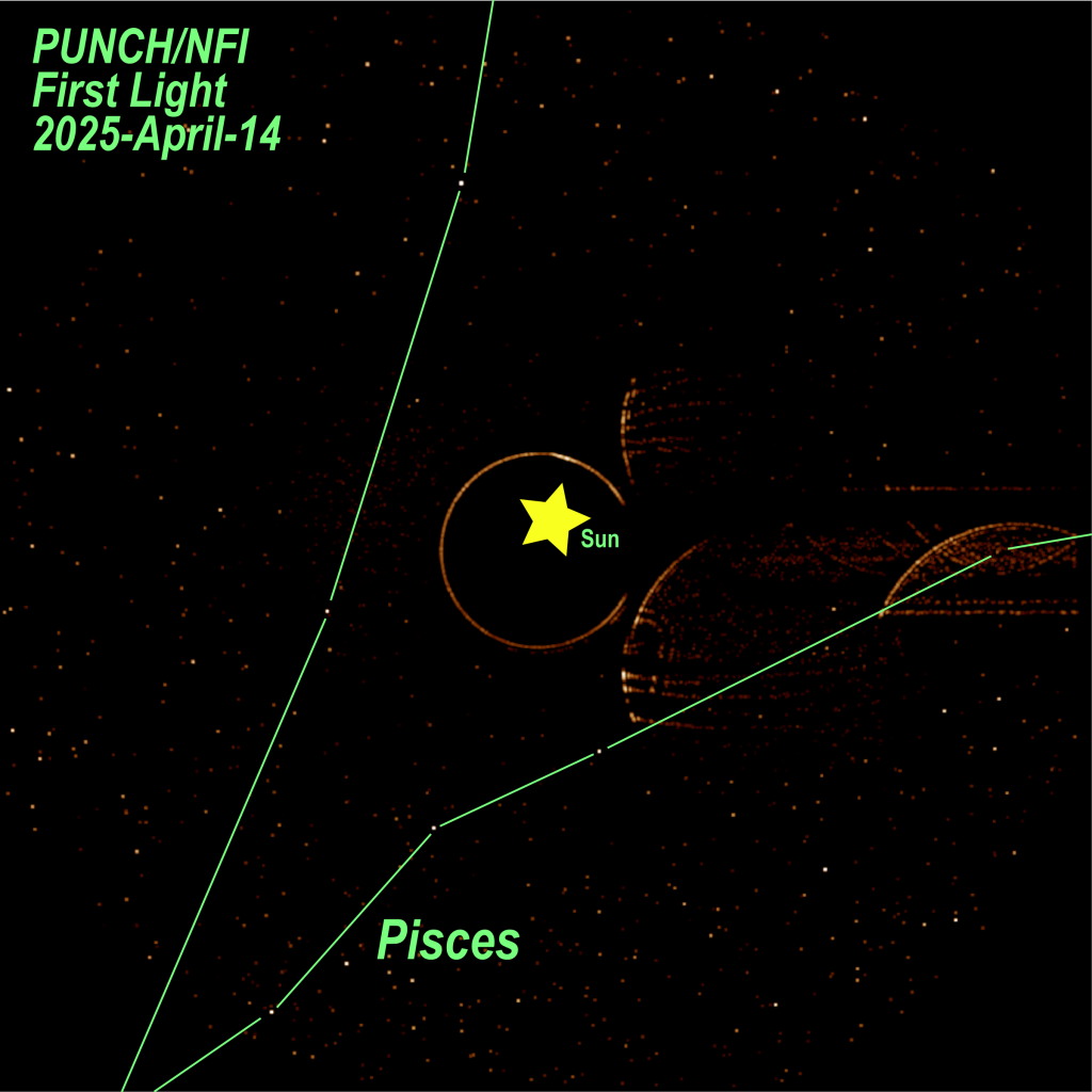 punch-first-light-nfi.webp