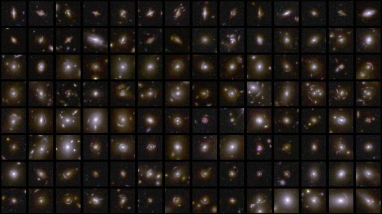 strong_gravitational_lenses_captured_by_euclid.jpg