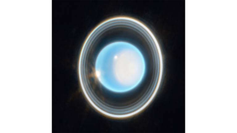 stsci-01gwqd7a9pkx6a8m932dsqt6g5-750.png