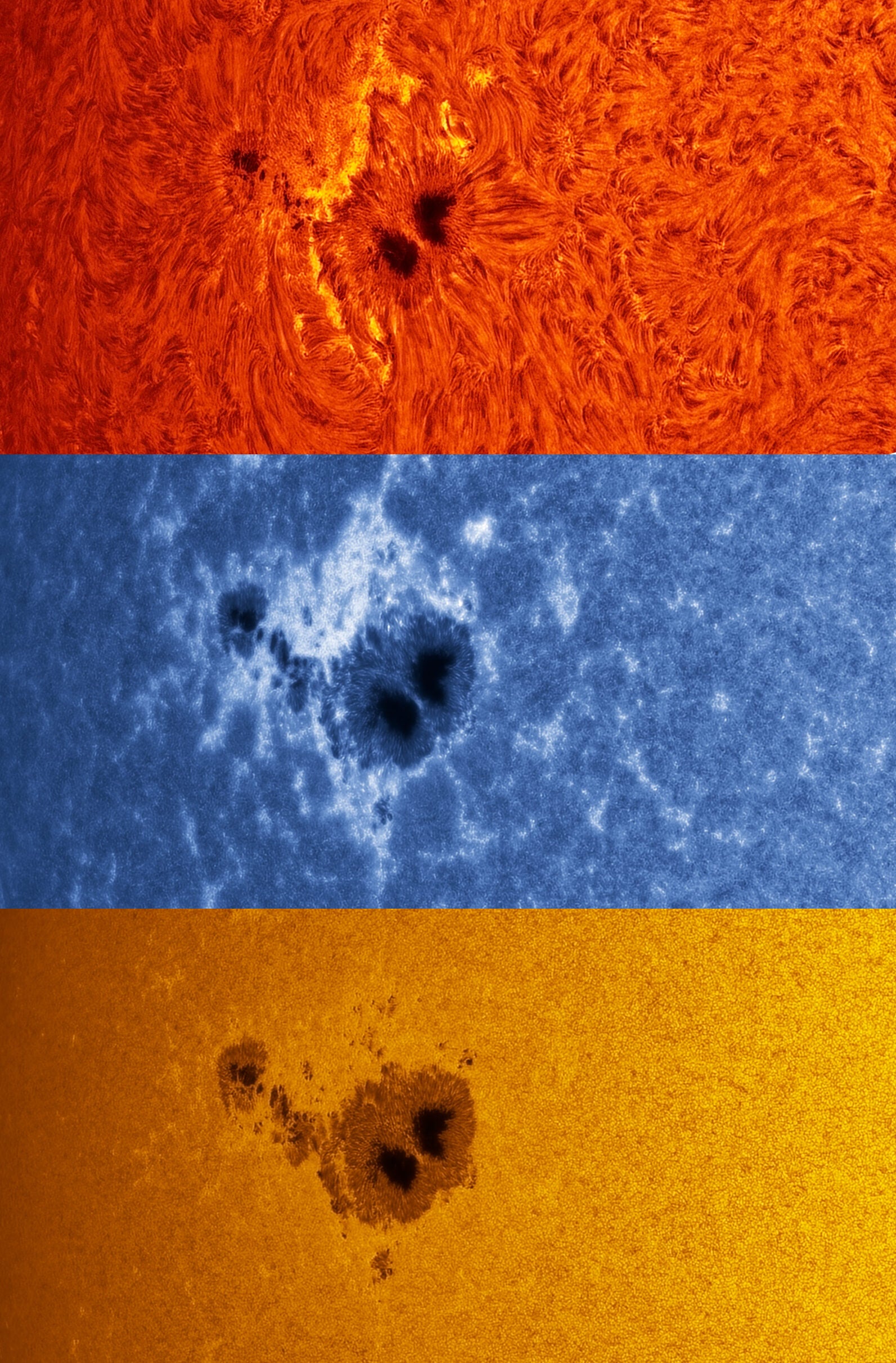 AR14079-HA-CaK-WL_20250501-e1747837326944.jpg