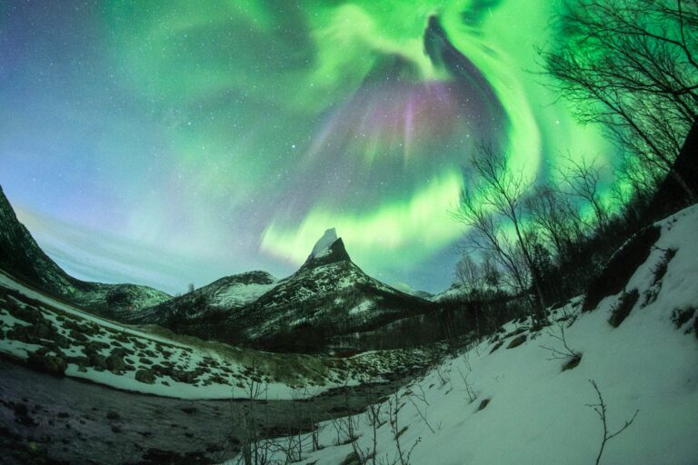 Bird-aurora_Arctic-Norway_Chirag-Upreti-scaled.jpg