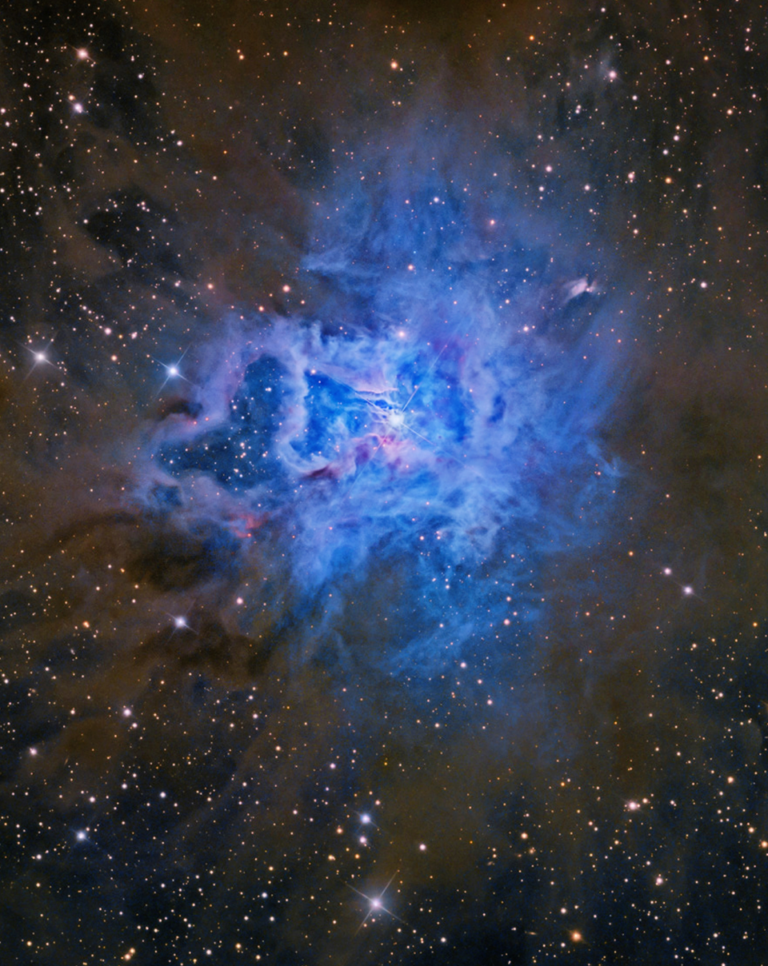 Iris-Nebula-Tony-Hallas.png