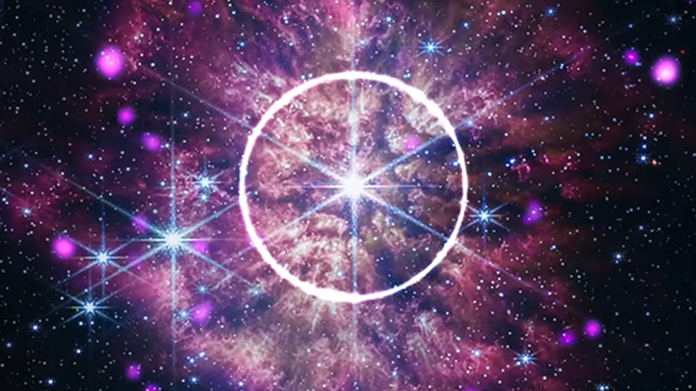 LYsgWMX8ZDs39SozwVgXAW.png