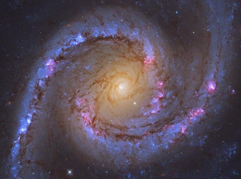 NGC1566_Shatz_960d.jpg