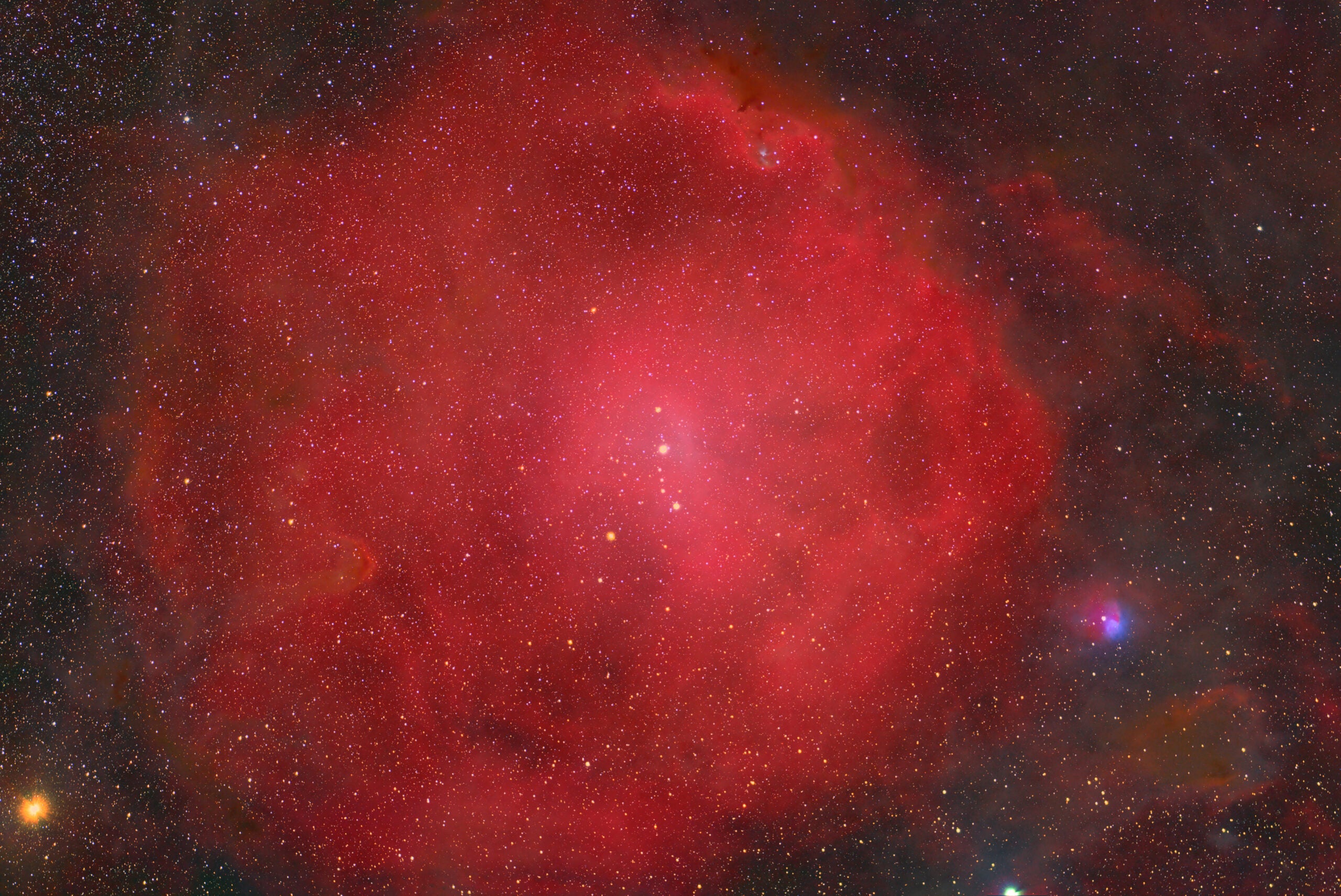 Sh264-040125-Schur-scaled.jpg