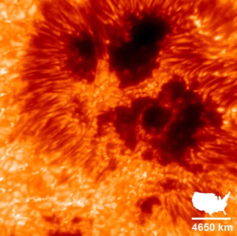 VTFsunspots.jpeg