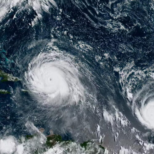 irma-jose-500x500.jpg