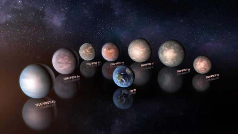 trappist.jpg