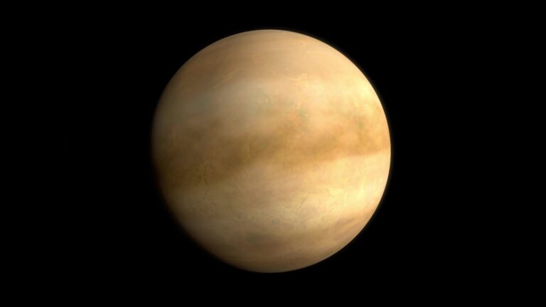 venus_thumb-scaled.jpg