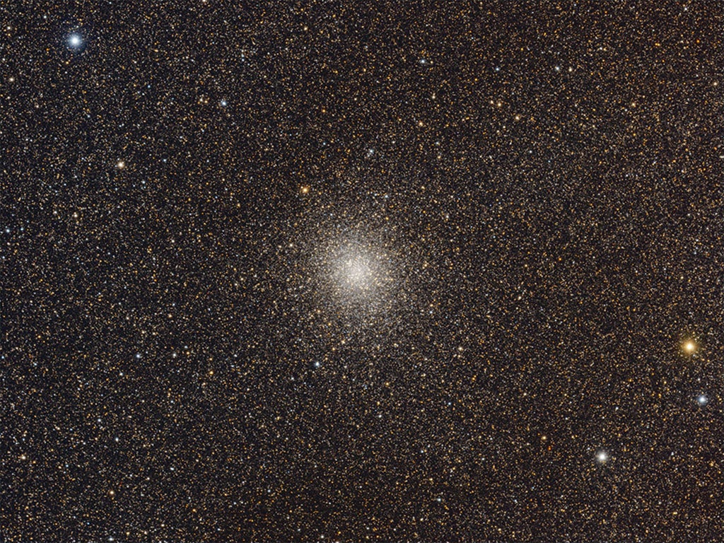 08_M22.jpg