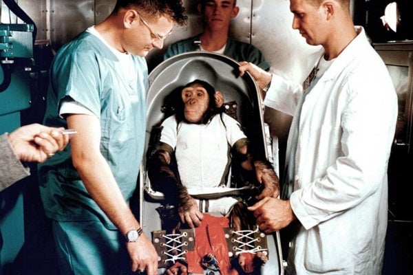 ChimpHam.jpg