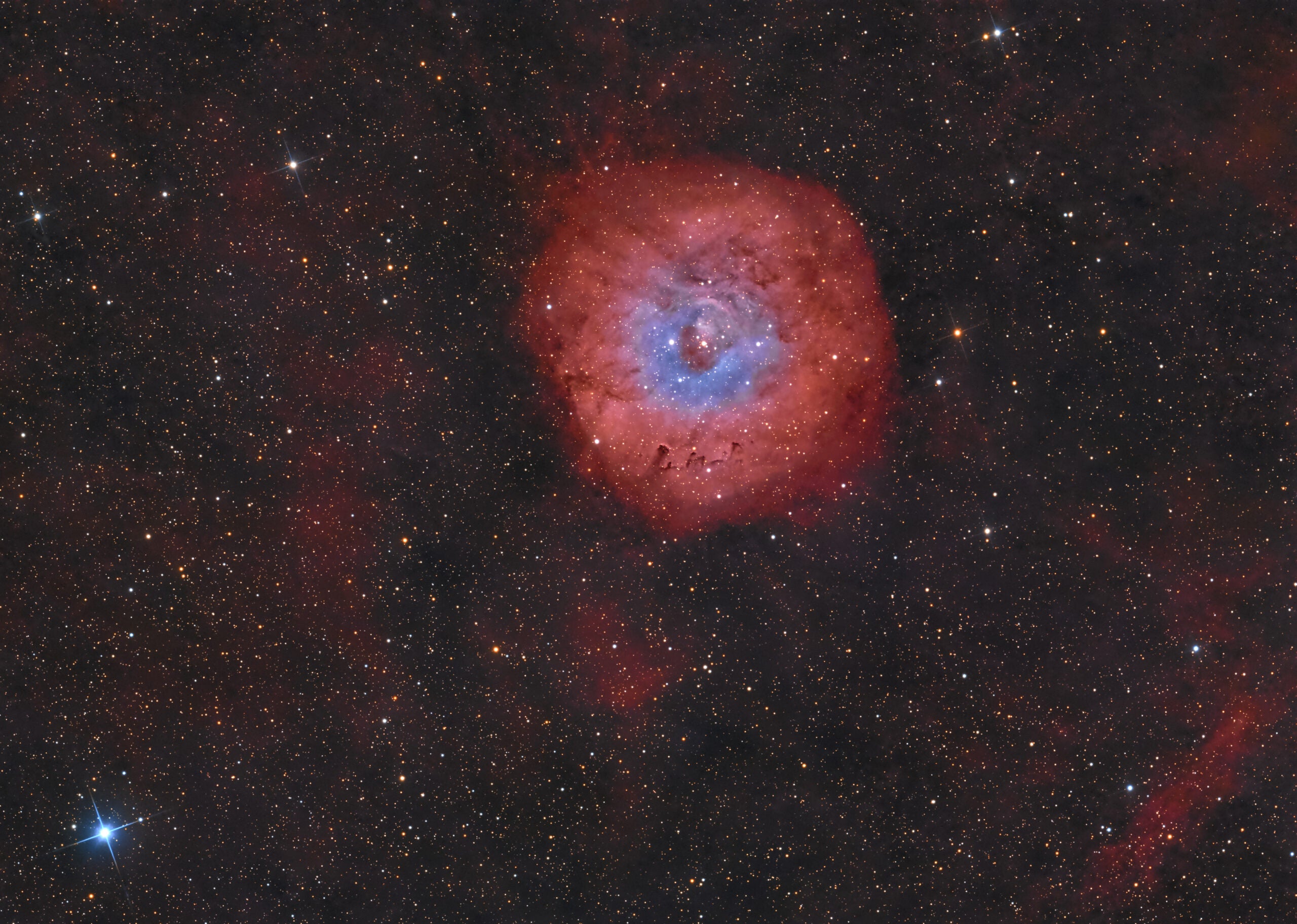 Sh2_170_jpeg-scaled.jpg