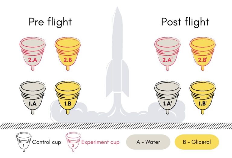 cups_20250627_152739.jpg