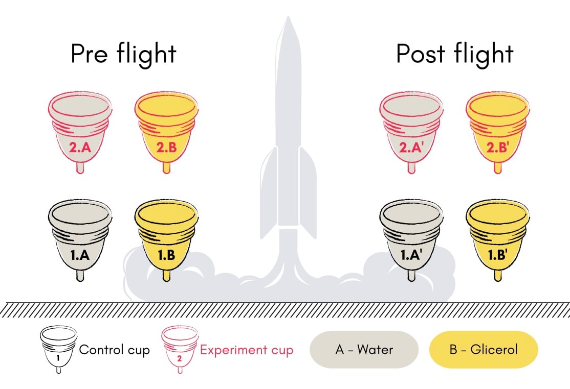 cups_20250627_152739.jpg