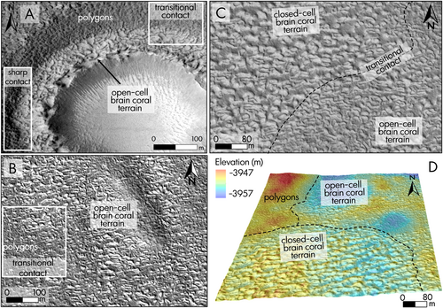 Lateral evolution from a sharp to a transitional contact between brain coral terrain and polygonal terrain within the terraced crater