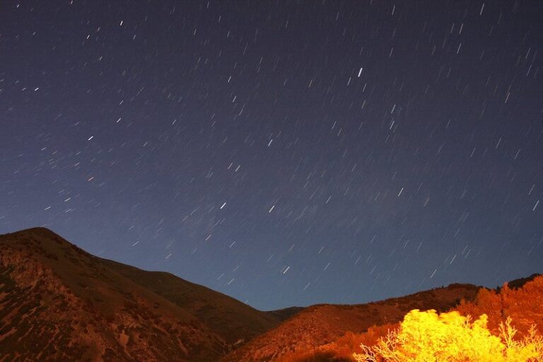 june-star-trails.jpg