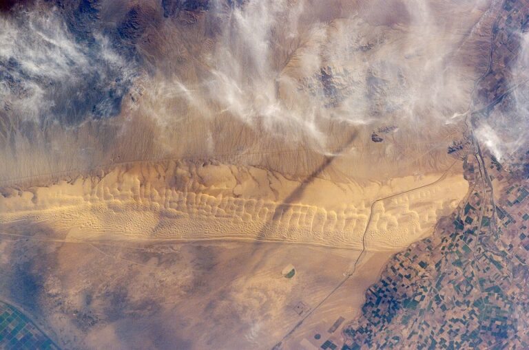 1086px-AlgodonesDunes_ISS011-E-11543_20250712_084528.jpg