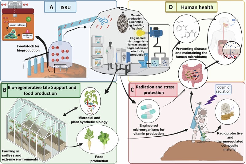 Illustrative guide to the four key topics of future human outposts on the Moon and on Mars that can be addressed by synthetic biology.