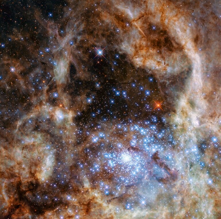 heic1605a_20250715_133602.jpg