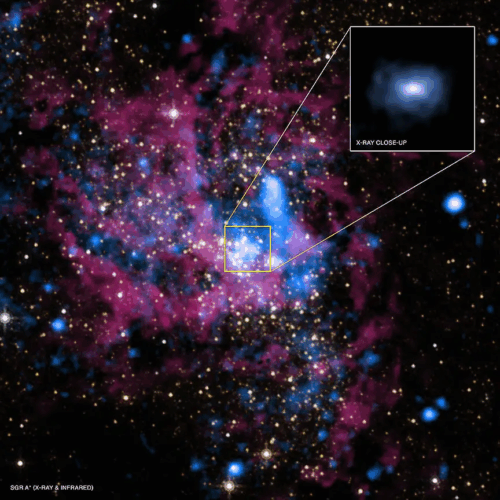 image-500x500.png