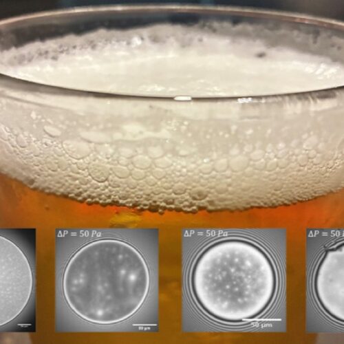 beerfoam1-500x500.jpg