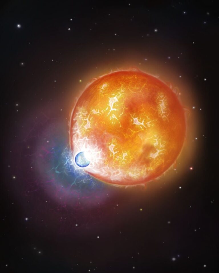 wd-sg_merger-samp2_1_20250807_203343.jpg
